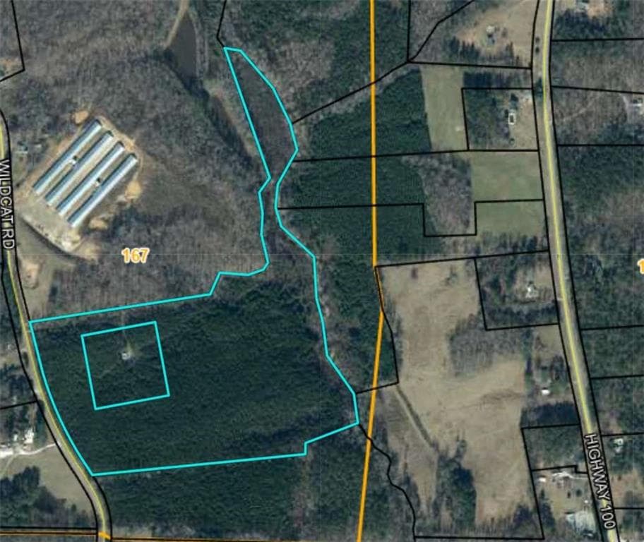 other for sale at 305 Wildcat Road, Buchanan, GA 30113 — photo 9