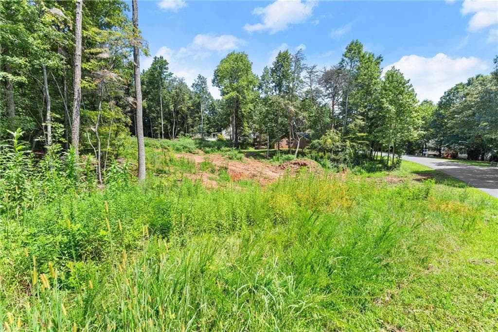 unimproved land for sale at 8690 Bayhill Drive, Gainesville, GA 30506 — photo 2