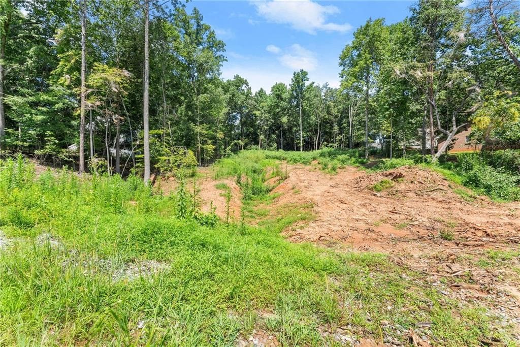 unimproved land for sale at 8690 Bayhill Drive, Gainesville, GA 30506 — photo 3