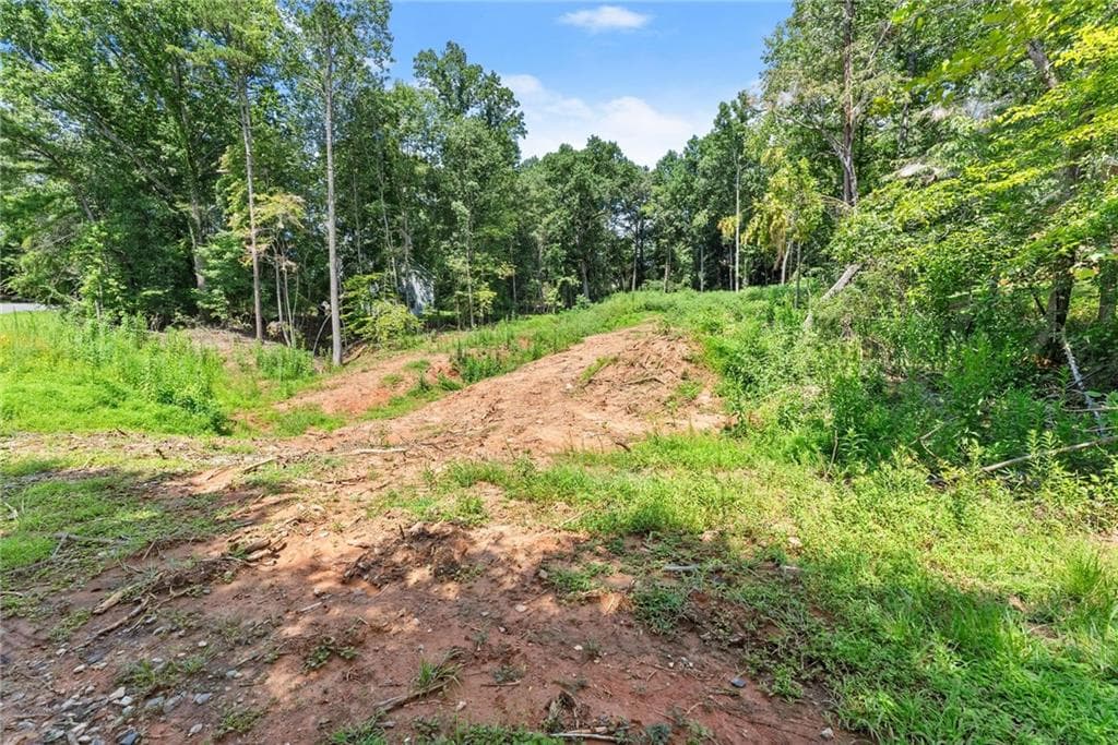 unimproved land for sale at 8690 Bayhill Drive, Gainesville, GA 30506 — photo 4