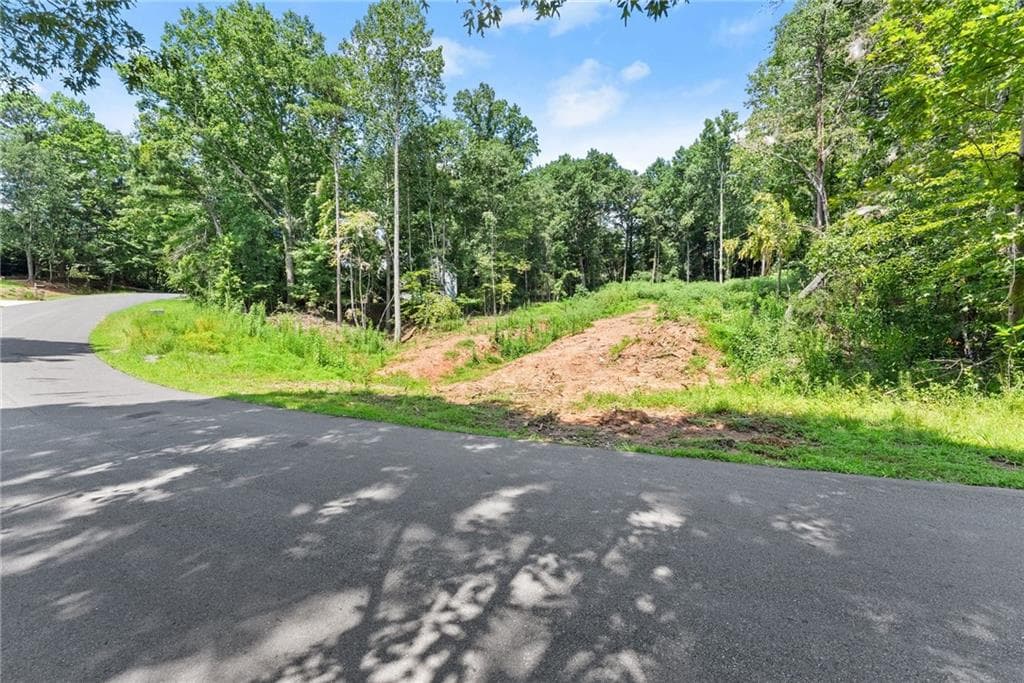unimproved land for sale at 8690 Bayhill Drive, Gainesville, GA 30506 — photo 5