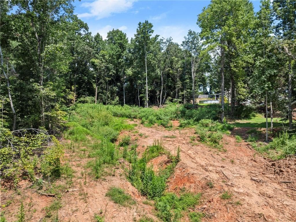 unimproved land for sale at 8690 Bayhill Drive, Gainesville, GA 30506 — photo 7