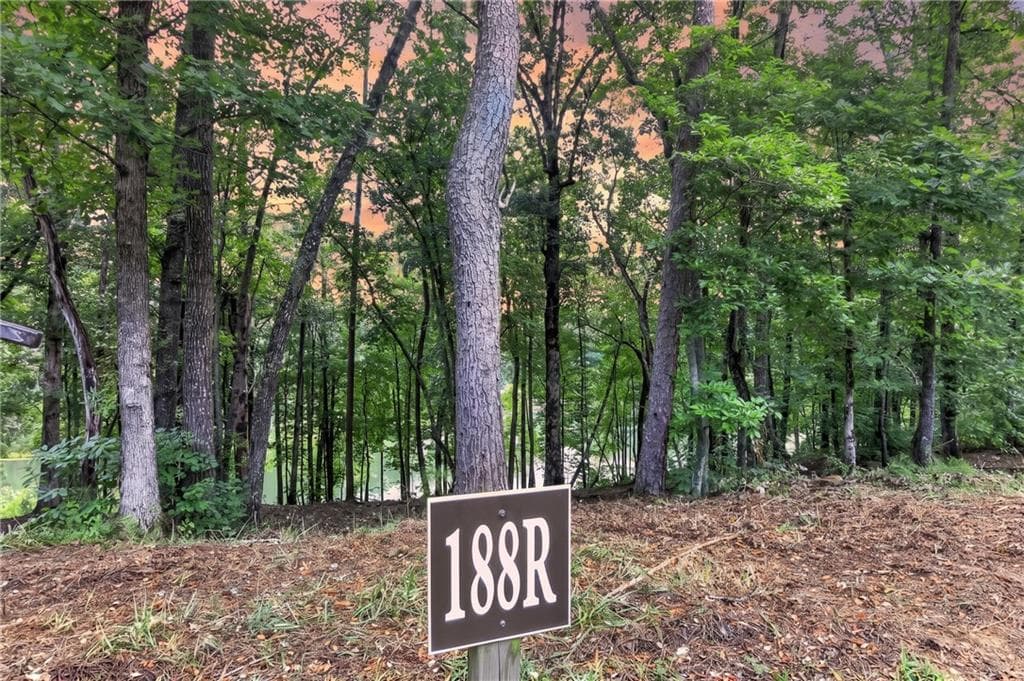 other for sale at 188 Pinnacle Drive, Ellijay, GA 30540 — photo 4