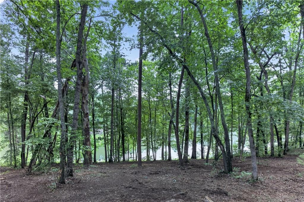 other for sale at 188 Pinnacle Drive, Ellijay, GA 30540 — photo 5
