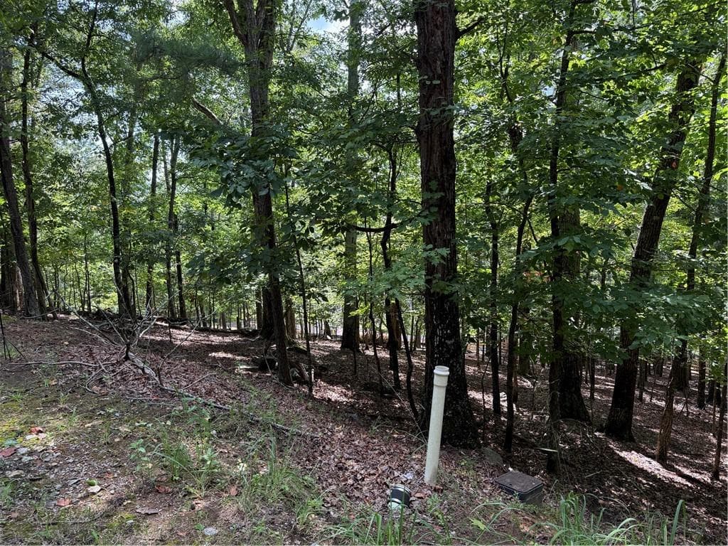 single family residence for sale at 117 Tulip Tree Court, Waleska, GA 30183 — photo 2