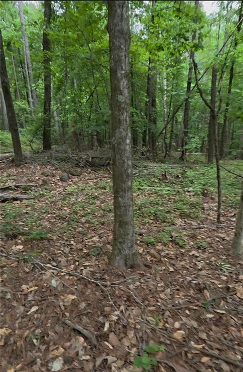 unimproved land for sale at 3467 Monica Lane, Conyers, GA 30094 — photo 2