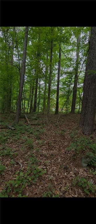 unimproved land for sale at 3467 Monica Lane, Conyers, GA 30094 — photo 3