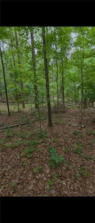 unimproved land for sale at 3467 Monica Lane, Conyers, GA 30094 — photo 4