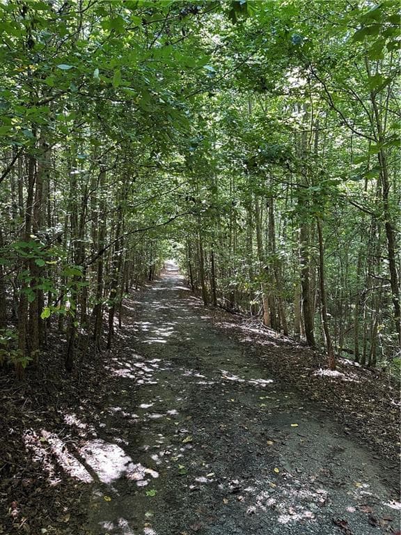 other for sale at 305 Wildcat Road, Buchanan, GA 30113 — photo 2