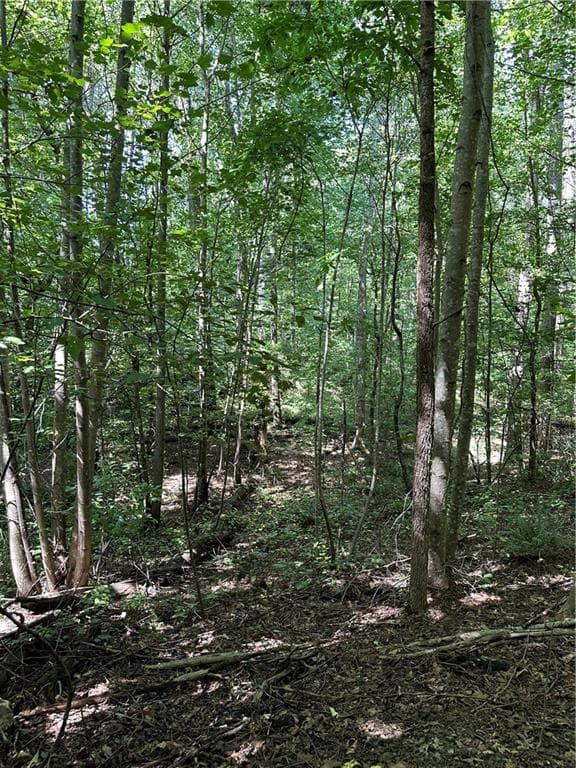 other for sale at 305 Wildcat Road, Buchanan, GA 30113 — photo 6