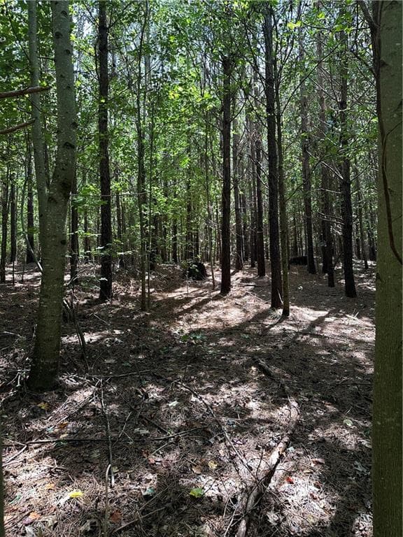 other for sale at 305 Wildcat Road, Buchanan, GA 30113 — photo 7