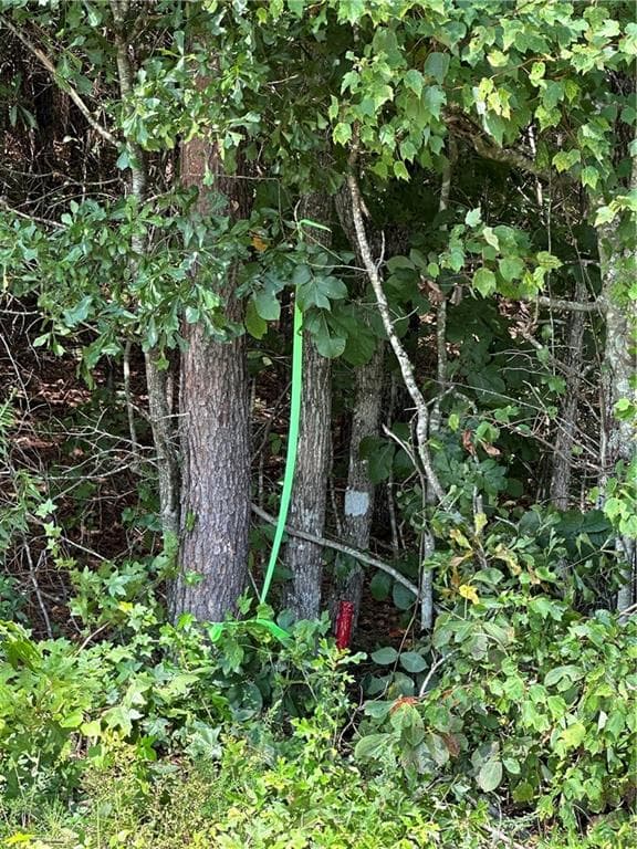 other for sale at 305 Wildcat Road, Buchanan, GA 30113 — photo 8