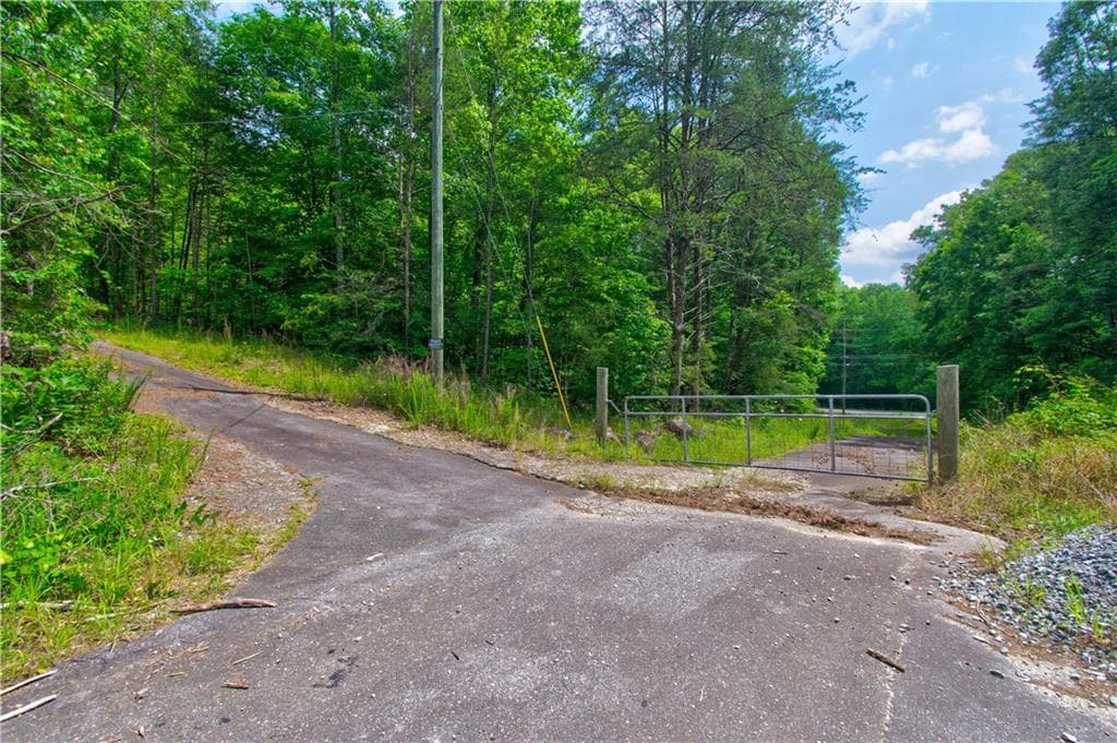 other for sale at 6439 S Chestatee Street, Dahlonega, GA 30533 — photo 4