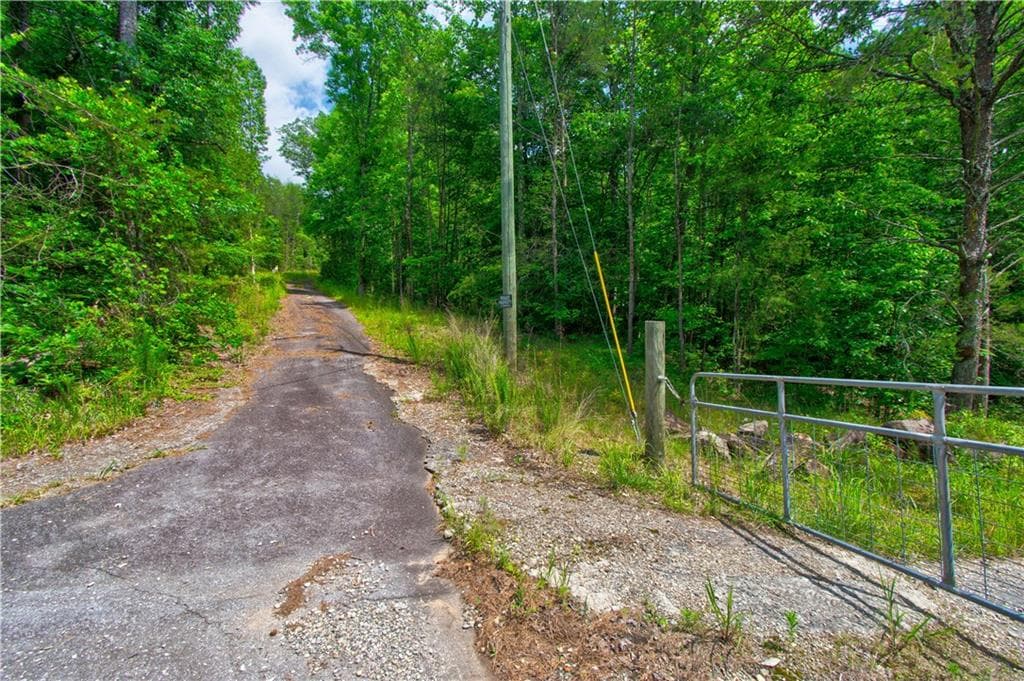 other for sale at 6439 S Chestatee Street, Dahlonega, GA 30533 — photo 5