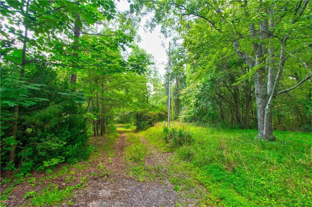 other for sale at 6439 S Chestatee Street, Dahlonega, GA 30533 — photo 6