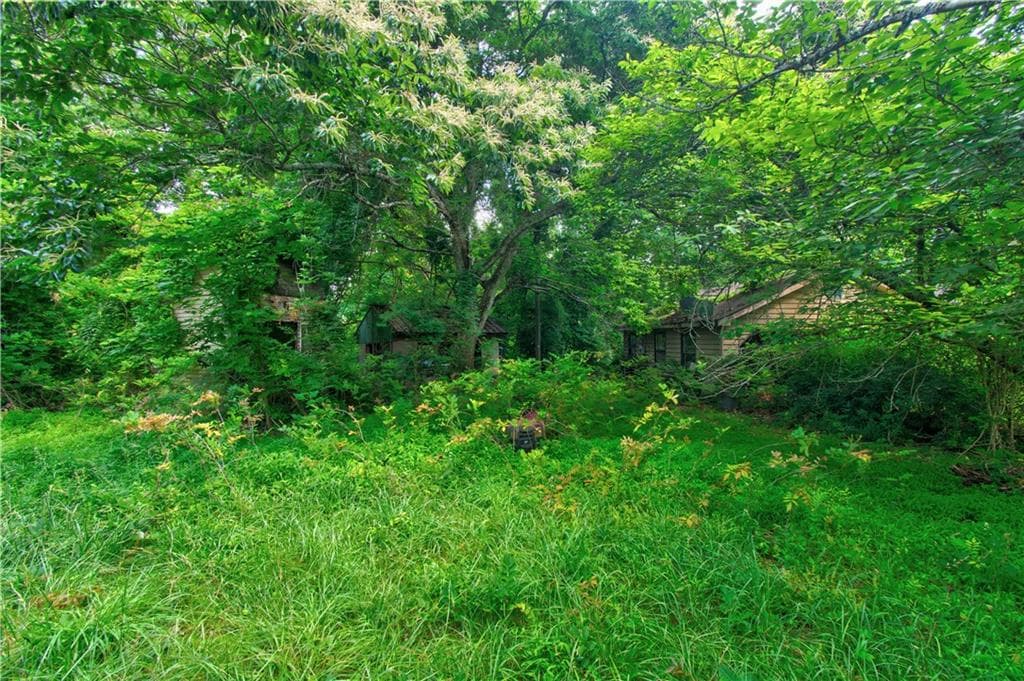 other for sale at 6439 S Chestatee Street, Dahlonega, GA 30533 — photo 9