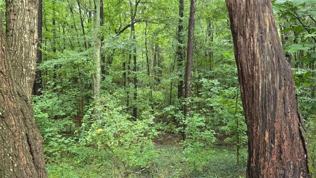 single family residence under contract at 0 Bob Holman Road, Athens, GA 30607 — photo 3