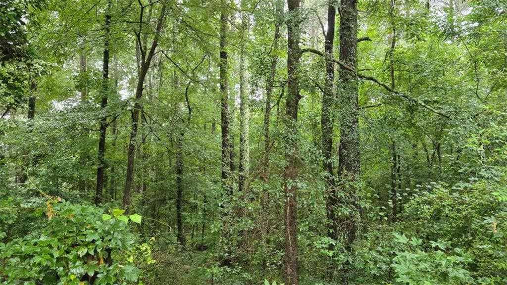 single family residence under contract at 0 Bob Holman Road, Athens, GA 30607 — photo 4