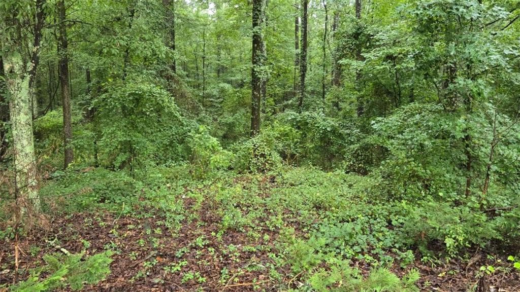 single family residence under contract at 0 Bob Holman Road, Athens, GA 30607 — photo 5
