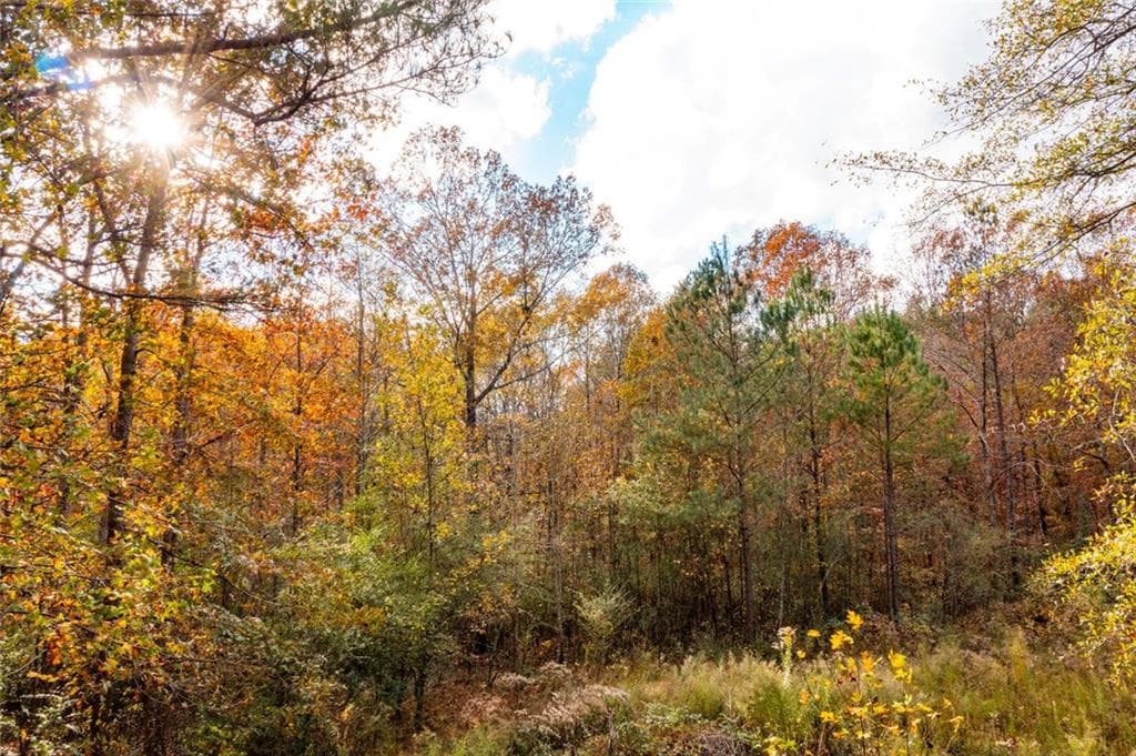 unimproved land for sale at 299 River Place Drive, Calhoun, GA 30701 — photo 6