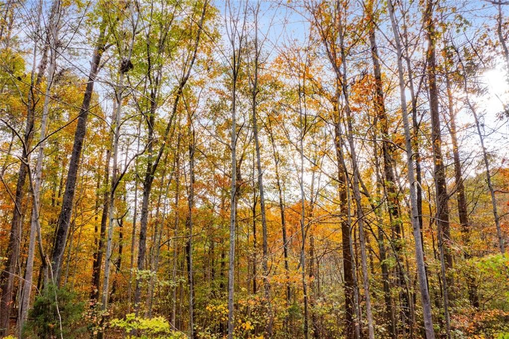 unimproved land for sale at 299 River Place Drive, Calhoun, GA 30701 — photo 7