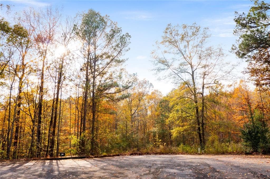 unimproved land for sale at 301 River Place Drive, Calhoun, GA 30701 — photo 1 of 20