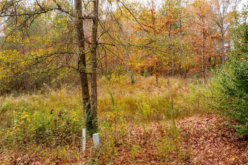 unimproved land for sale at 301 River Place Drive, Calhoun, GA 30701 — photo 4