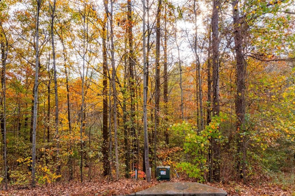 unimproved land for sale at 301 River Place Drive, Calhoun, GA 30701 — photo 5
