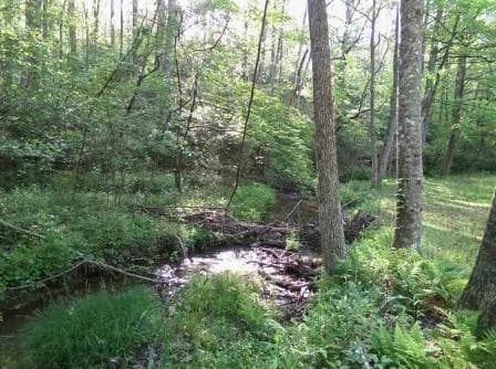 3 bedroom, 2 bathroom, 1,560 sq ft single family residence under contract at 953 Nugget Lane, Ellijay, GA 30540 — photo 9