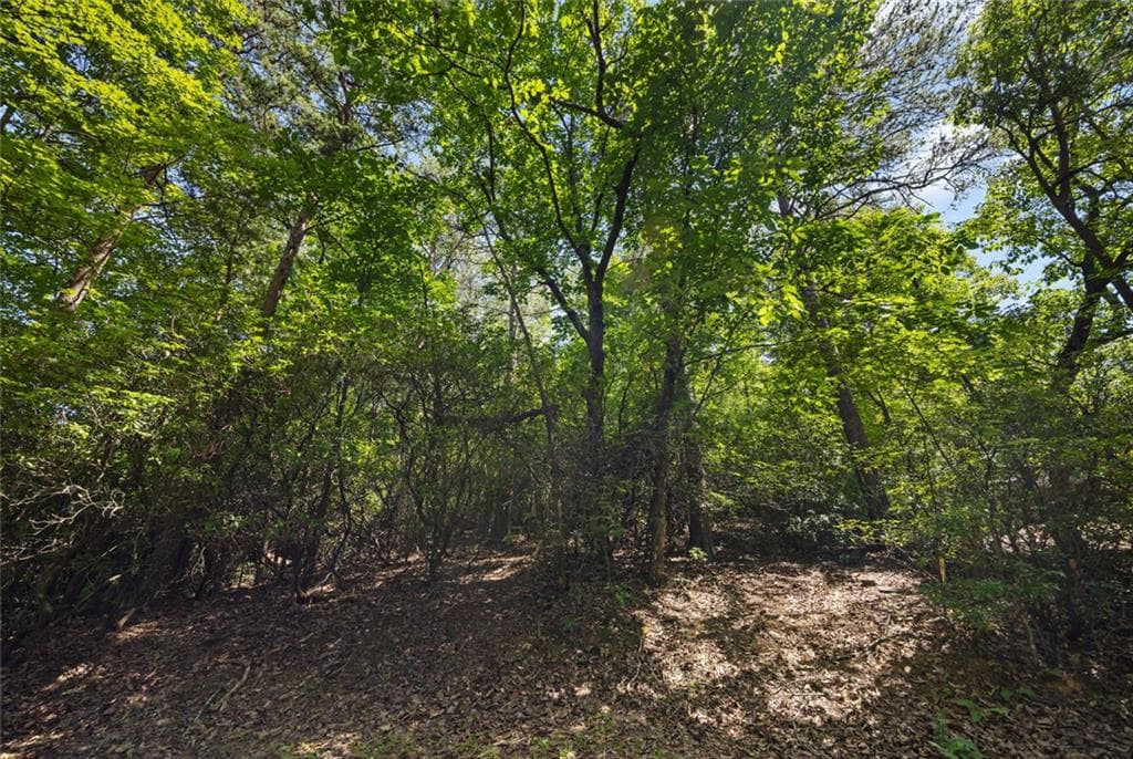 unimproved land for sale at 196 Cinnamon Fern Lane, Big Canoe, GA 30143 — photo 2