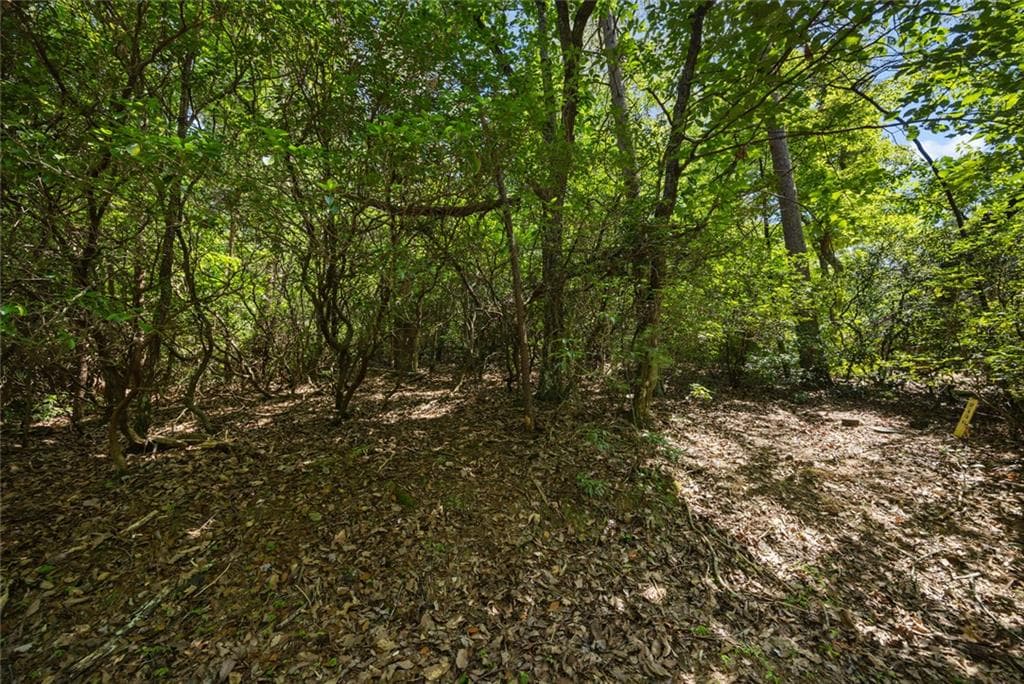 unimproved land for sale at 196 Cinnamon Fern Lane, Big Canoe, GA 30143 — photo 3