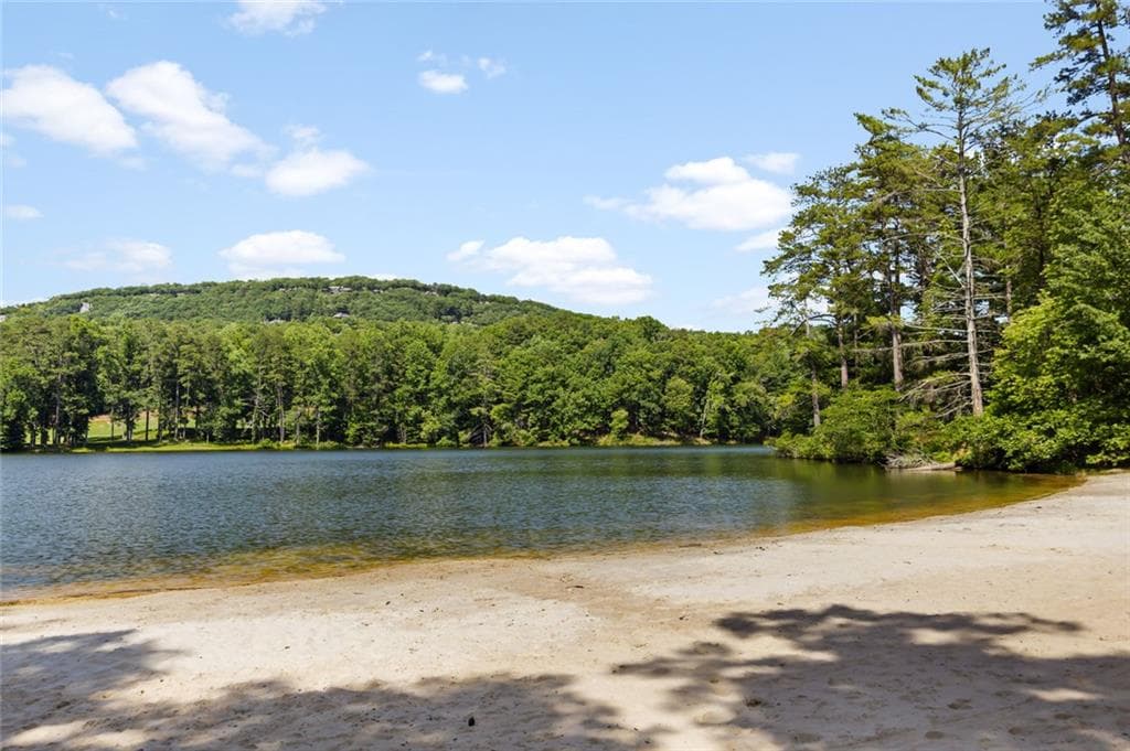 unimproved land for sale at 196 Cinnamon Fern Lane, Big Canoe, GA 30143 — photo 4