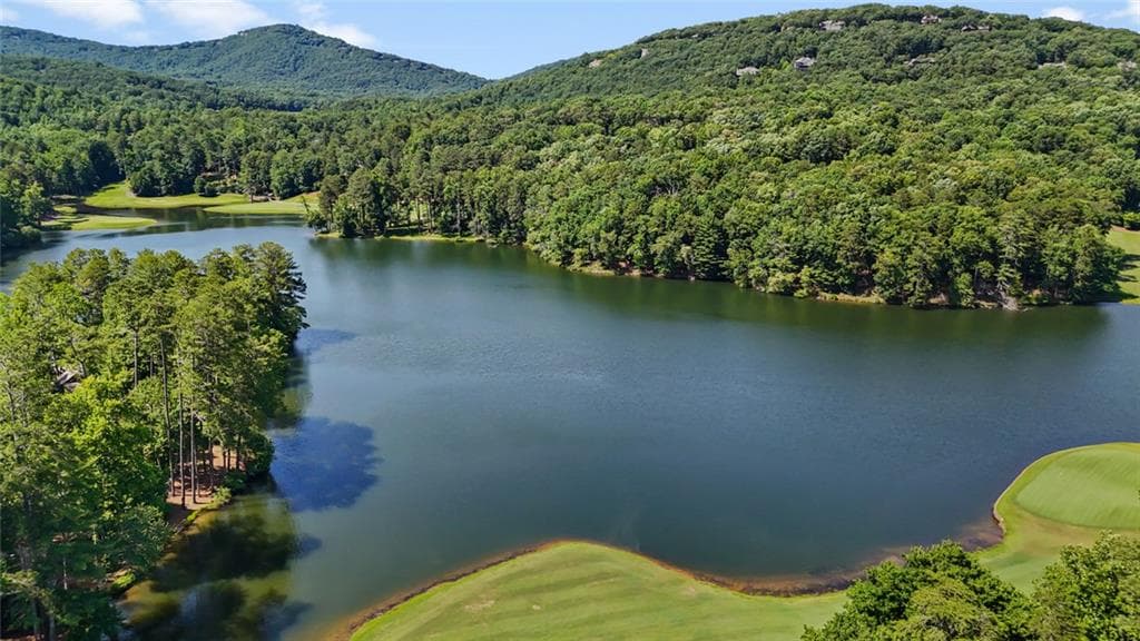 unimproved land for sale at 196 Cinnamon Fern Lane, Big Canoe, GA 30143 — photo 9