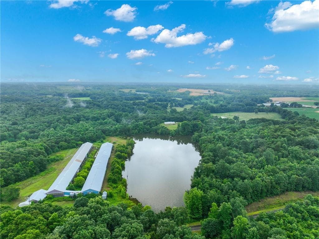 4 bedroom, 2 bathroom, 2,800 sq ft single family residence for sale at 397 Reed Brawner Road, Royston, GA 30662 — photo 2
