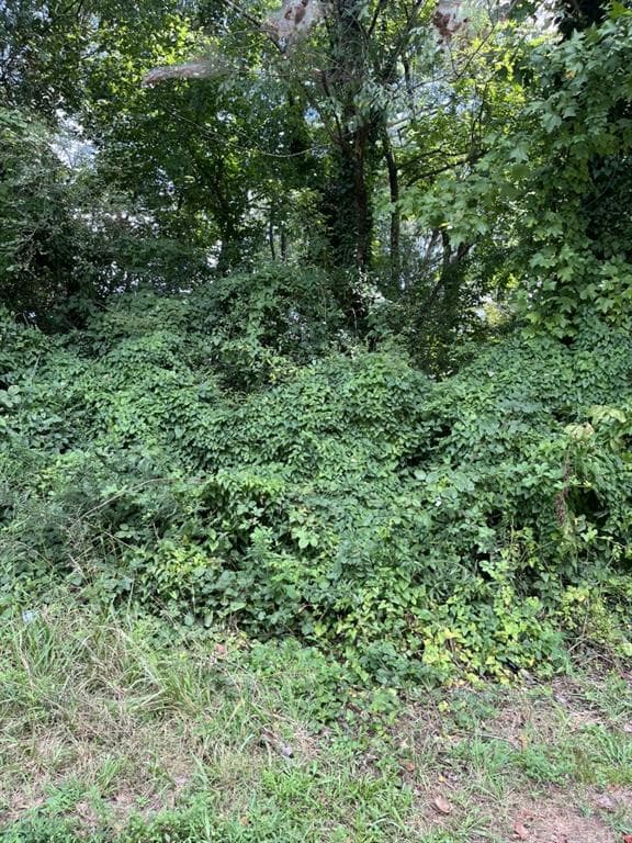 single family residence for sale at 0 Oak Street, Canton, GA 30114