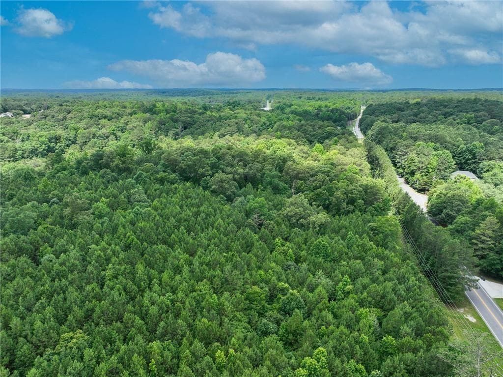 unimproved land for sale at 2630 Hwy 138, Conyers, GA 30094 — photo 4