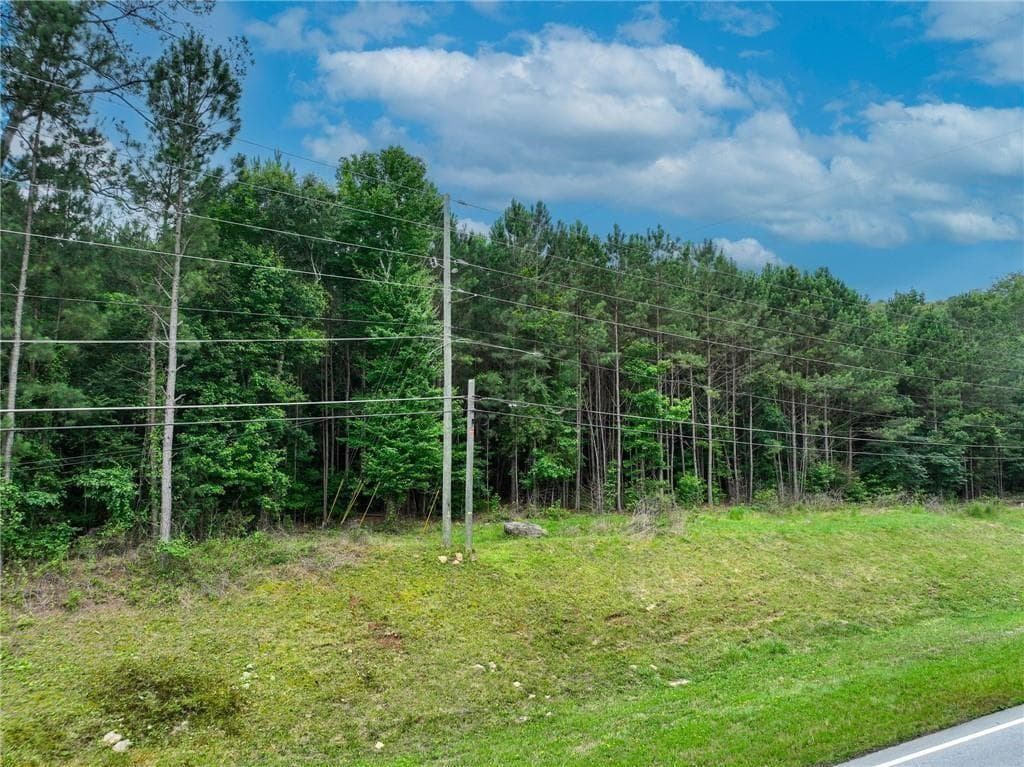 unimproved land for sale at 2630 Hwy 138, Conyers, GA 30094 — photo 5