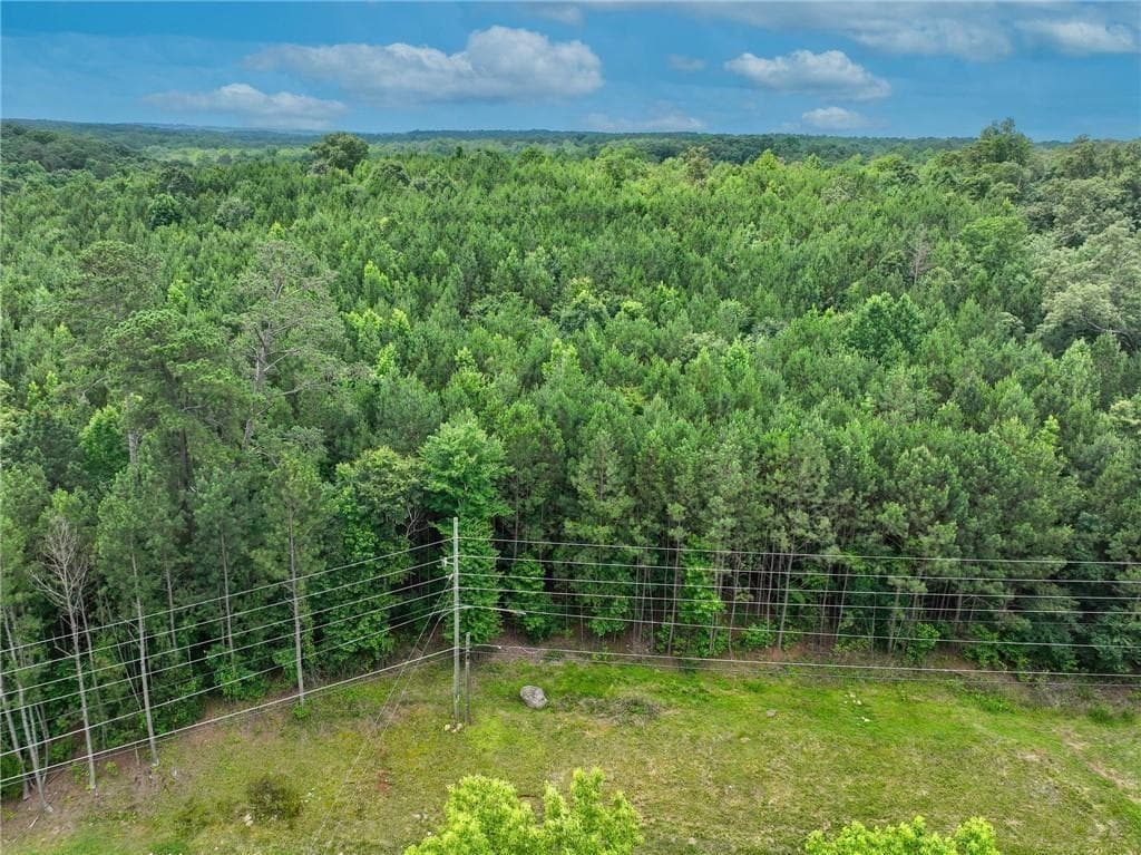 unimproved land for sale at 2630 Hwy 138, Conyers, GA 30094 — photo 6