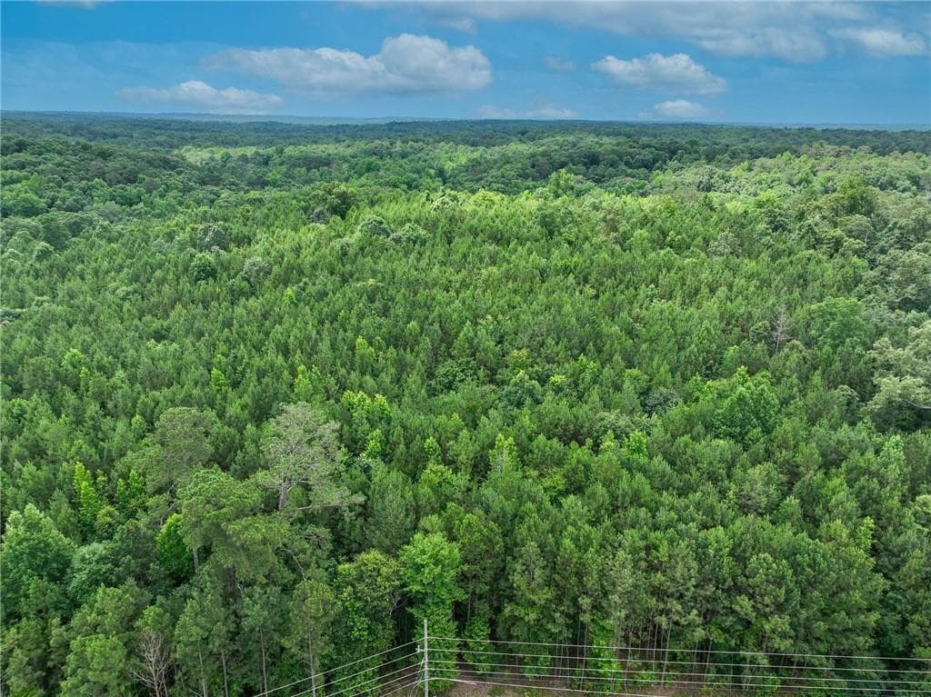 unimproved land for sale at 2630 Hwy 138, Conyers, GA 30094 — photo 7