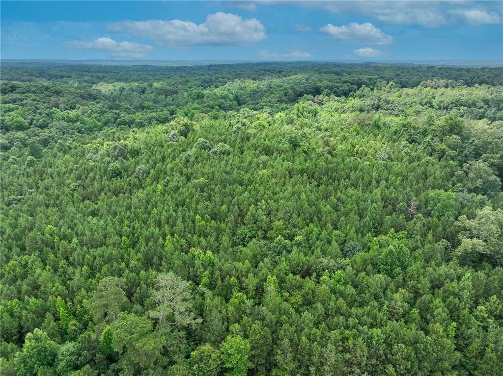 unimproved land for sale at 2630 Hwy 138, Conyers, GA 30094 — photo 8