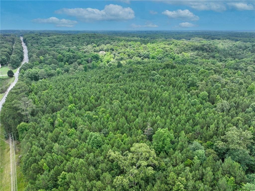 unimproved land for sale at 2630 Hwy 138, Conyers, GA 30094 — photo 9