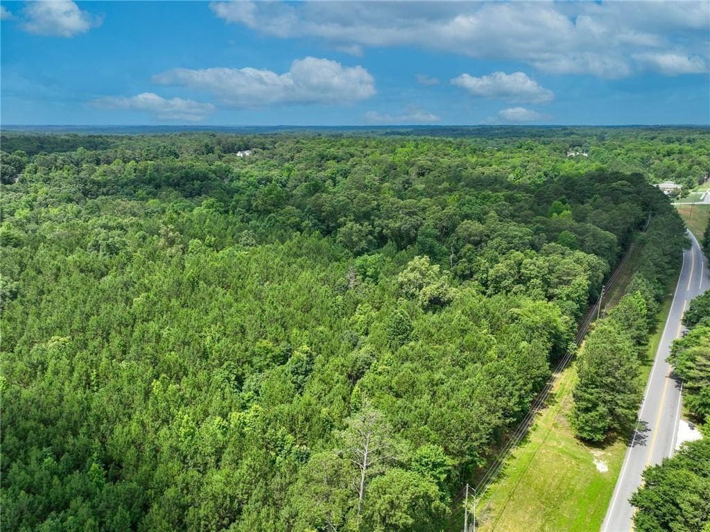 unimproved land for sale at 2630 Hwy 138, Conyers, GA 30094 — photo 10