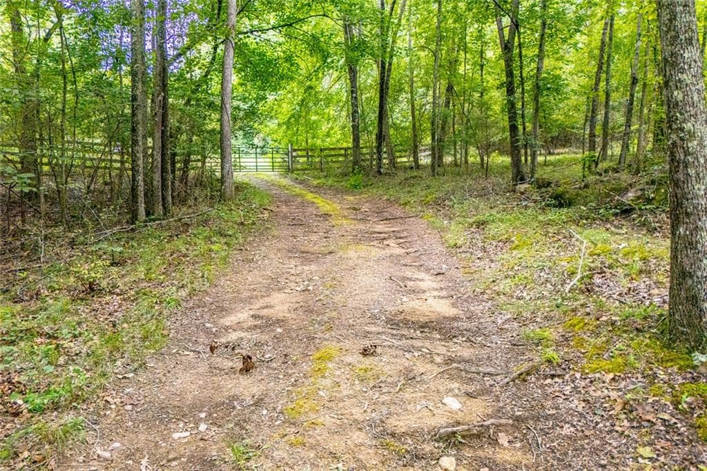unimproved land for sale at 3960 Clinton Court, Villa Rica, GA 30180 — photo 10