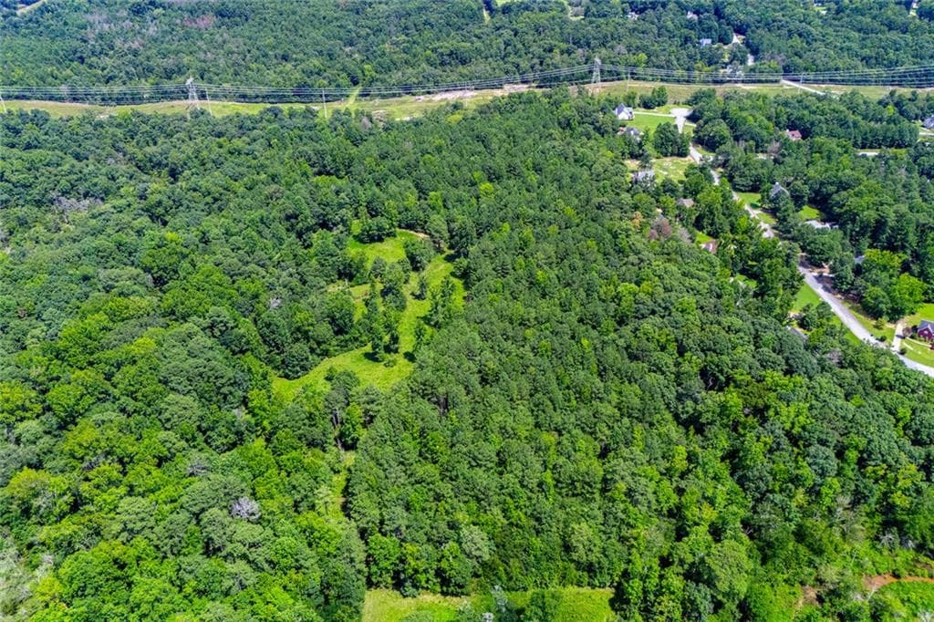 unimproved land for sale at 3980 Clinton Court, Villa Rica, GA 30180 — photo 10