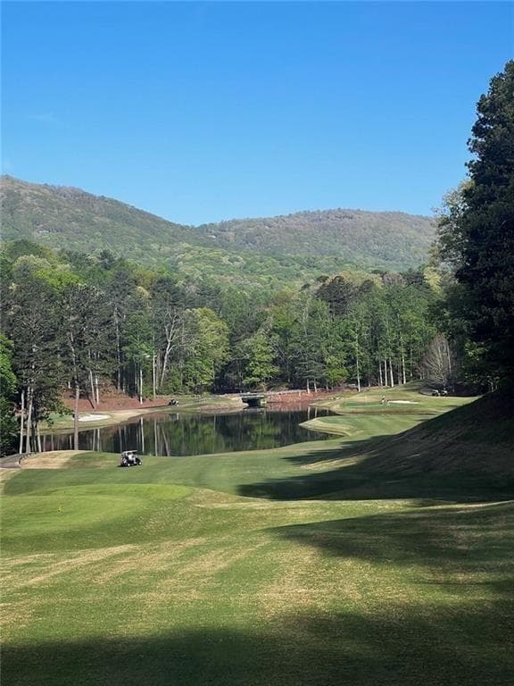 unimproved land for sale at 2658 Sconti View Drive, Big Canoe, GA 30143 — photo 4