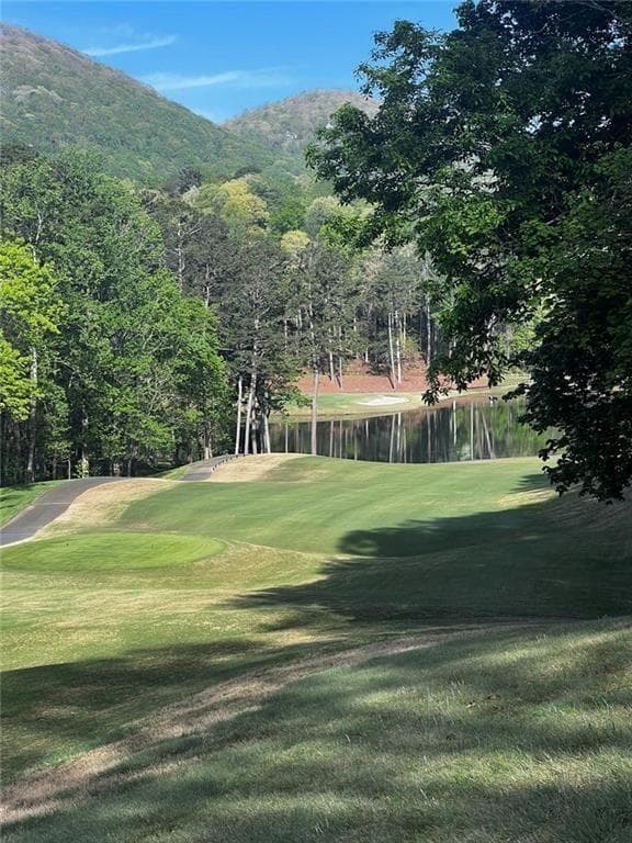 unimproved land for sale at 2658 Sconti View Drive, Big Canoe, GA 30143 — photo 6