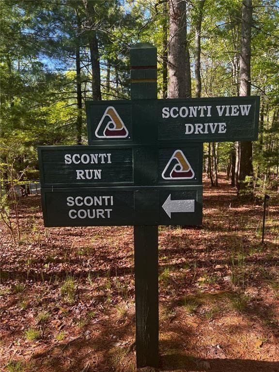 unimproved land for sale at 2658 Sconti View Drive, Big Canoe, GA 30143 — photo 7
