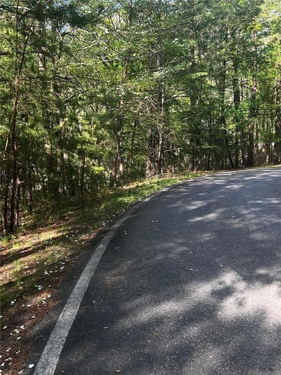 unimproved land for sale at 2658 Sconti View Drive, Big Canoe, GA 30143 — photo 8