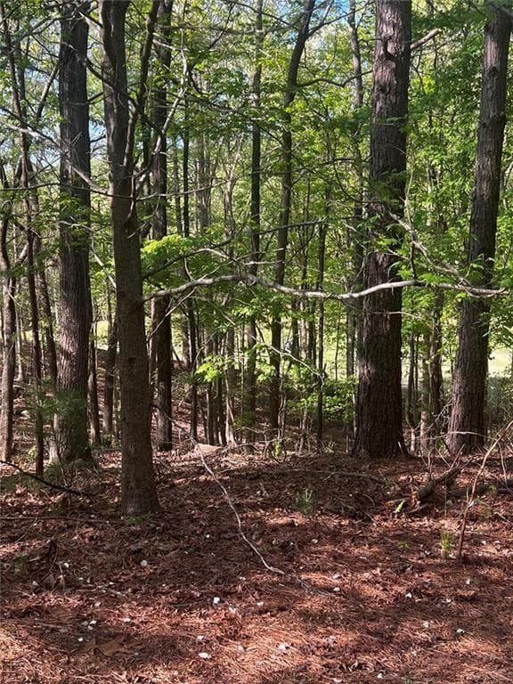 unimproved land for sale at 2658 Sconti View Drive, Big Canoe, GA 30143 — photo 9