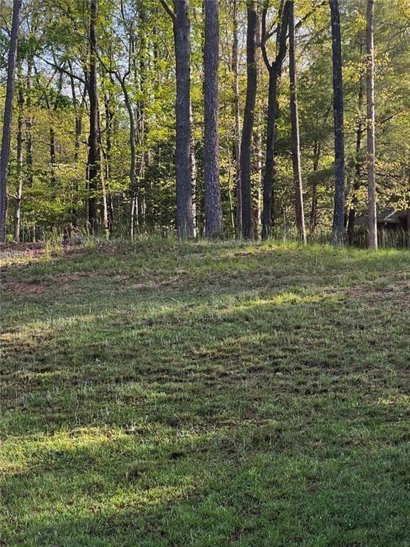 unimproved land for sale at 2658 Sconti View Drive, Big Canoe, GA 30143 — photo 10